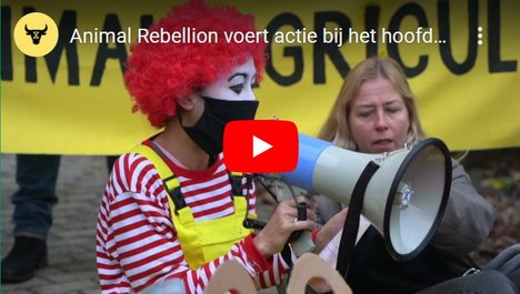 Animal Rebellion McDonalds actie Youtube video